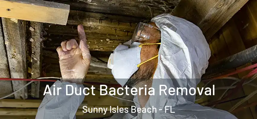 Air Duct Bacteria Removal Sunny Isles Beach - FL