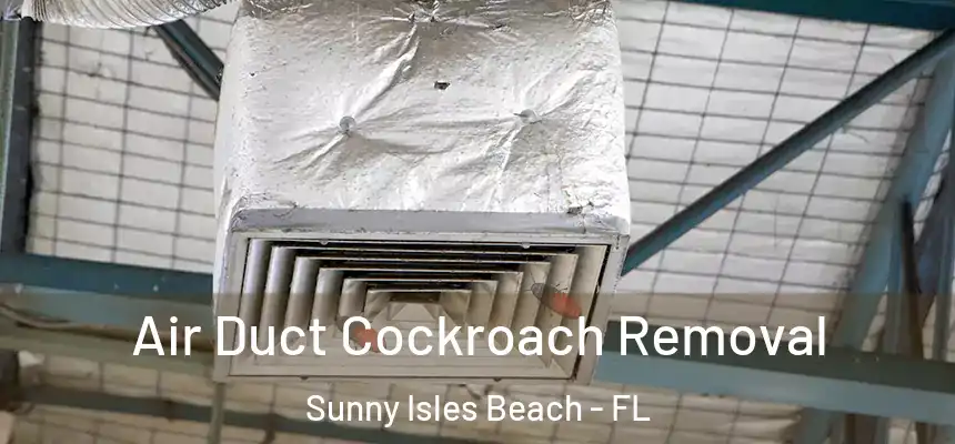Air Duct Cockroach Removal Sunny Isles Beach - FL