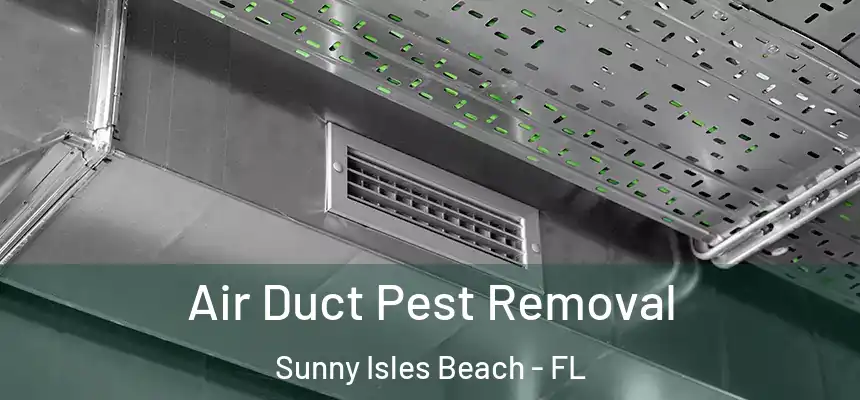 Air Duct Pest Removal Sunny Isles Beach - FL