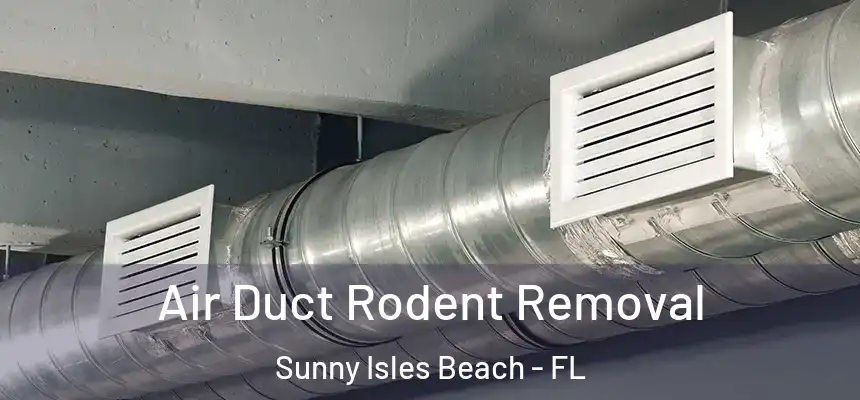 Air Duct Rodent Removal Sunny Isles Beach - FL