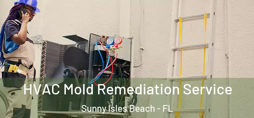 HVAC Mold Remediation Service Sunny Isles Beach - FL