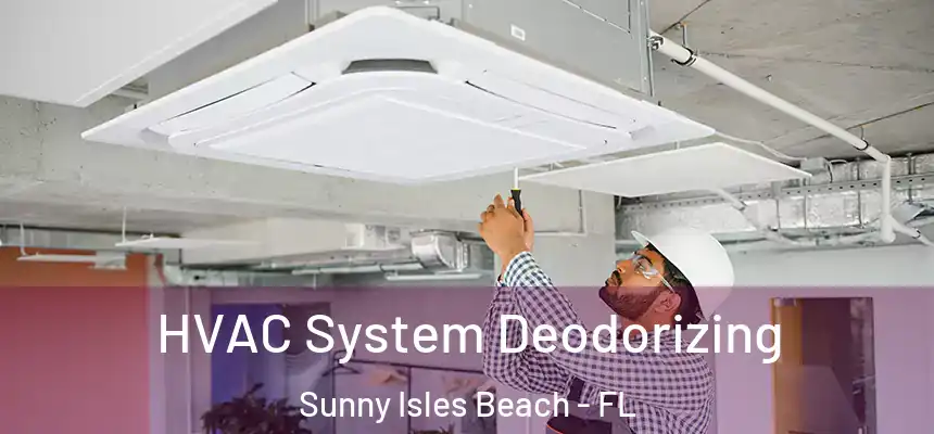  HVAC System Deodorizing Sunny Isles Beach - FL