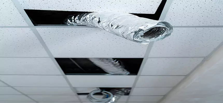 Affordable HVAC Sanitizing After Pest Removal in Sunny Isles Beach