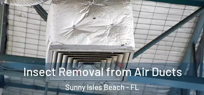 Insect Removal from Air Ducts Sunny Isles Beach - FL
