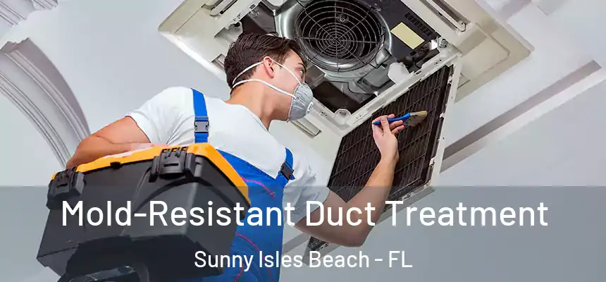 Mold-Resistant Duct Treatment Sunny Isles Beach - FL