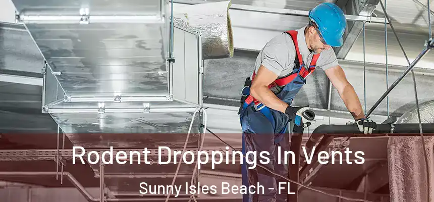 Rodent Droppings In Vents Sunny Isles Beach - FL