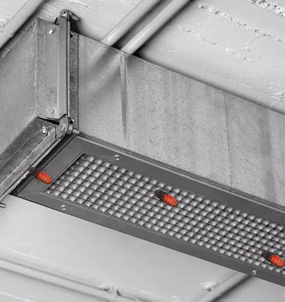 About Air Duct Cockroach Removal in Sunny Isles Beach, FL