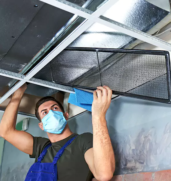 Professional Air Duct Pollen Cleaning in Sunny Isles Beach, FL