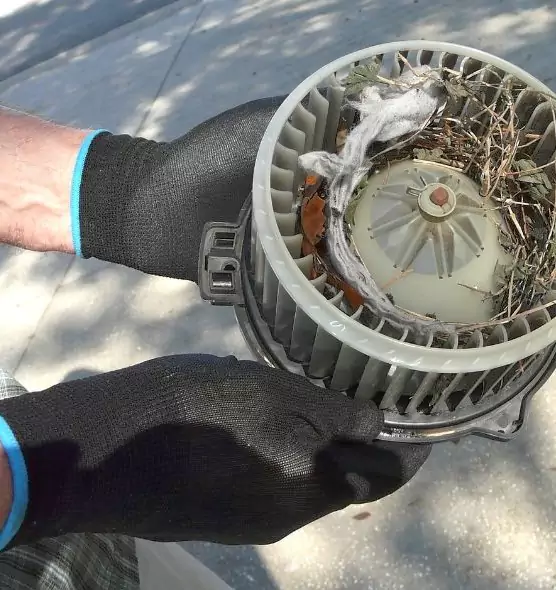 About Air Duct Rat Removal in Sunny Isles Beach, FL