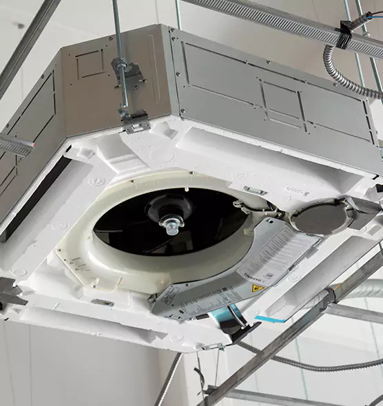 Professional Roof Vent Lint Removal Sunny Isles Beach, FL