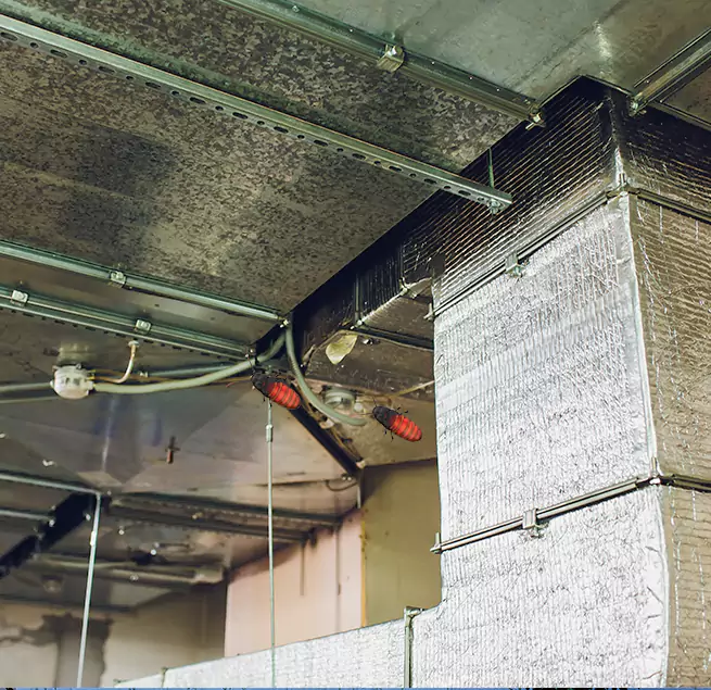 Why Homeowners & Businesses Trust Us in Sunny Isles Beach, FL?