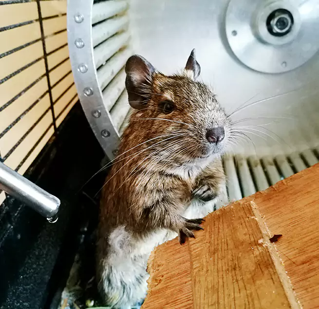 Why Homeowners & Businesses Trust Us Sunny Isles Beach, FL