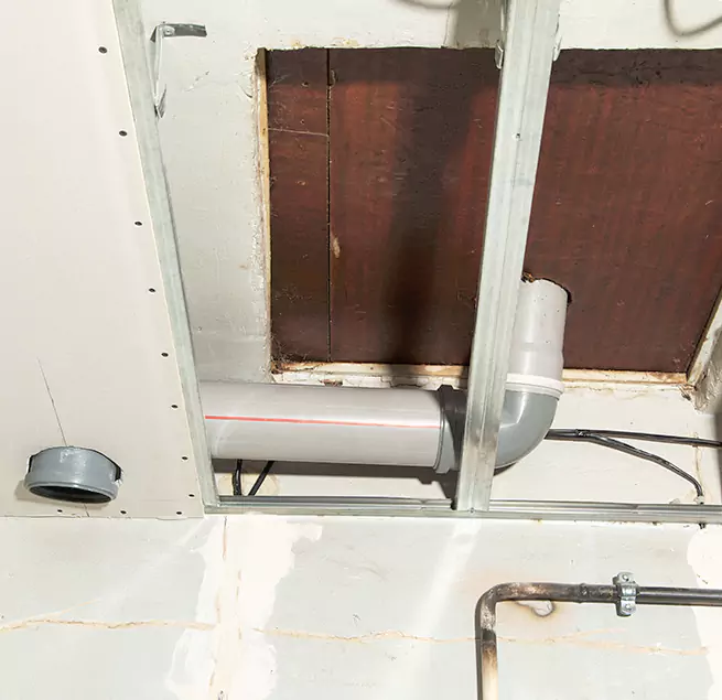 Why Homeowners & Businesses Trust Us in Sunny Isles Beach, FL?