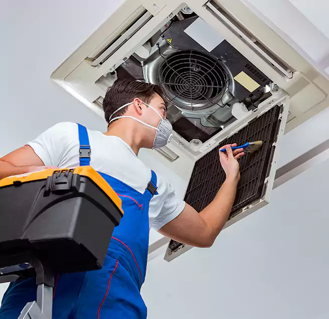 Why Homeowners & Businesses Trust Us in Sunny Isles Beach, FL