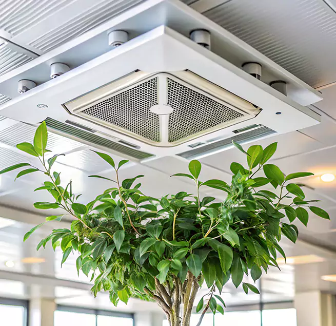 Why Homeowners & Businesses Trust Us in Sunny Isles Beach, FL?