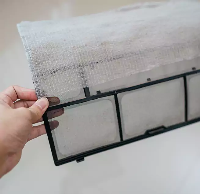 Why Homeowners & Businesses Trust Us in Sunny Isles Beach, FL?