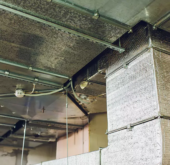 Why Homeowners & Businesses Trust Us in Sunny Isles Beach, FL?