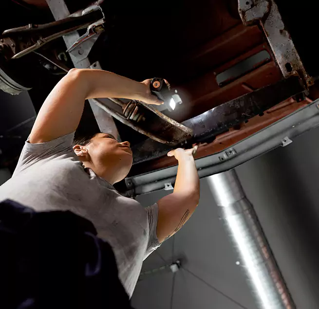 Why Homeowners & Businesses Trust Us Sunny Isles Beach, FL