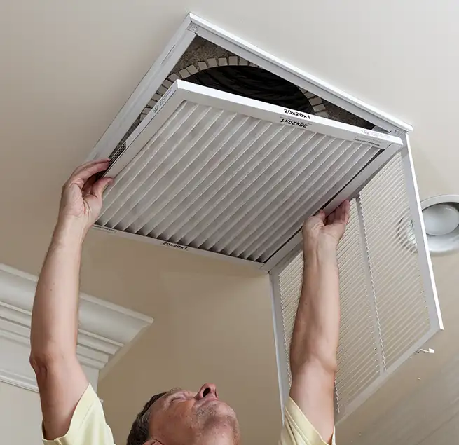 Why Homeowners & Businesses Trust Us in Sunny Isles Beach, FL?